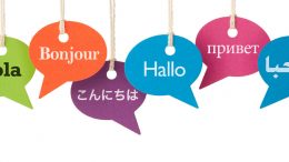 servicii traduceri bucuresti